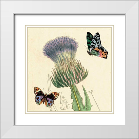 Field Thistle White Modern Wood Framed Art Print with Double Matting by van Houtte, Louis