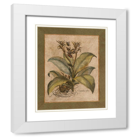 Valencia I White Modern Wood Framed Art Print with Double Matting by Alexander, Zachary