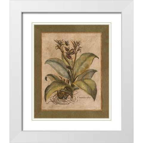 Valencia I White Modern Wood Framed Art Print with Double Matting by Alexander, Zachary