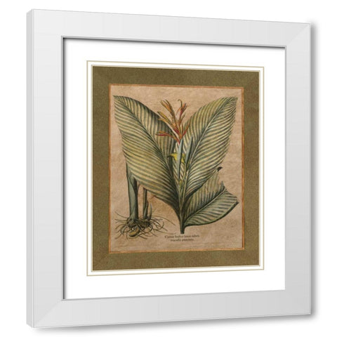 Valencia II White Modern Wood Framed Art Print with Double Matting by Alexander, Zachary