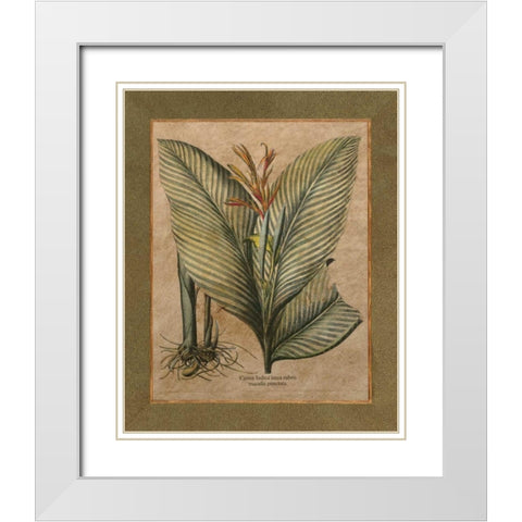 Valencia II White Modern Wood Framed Art Print with Double Matting by Alexander, Zachary