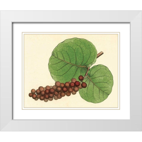 Palmetto II White Modern Wood Framed Art Print with Double Matting by Alexander, Zachary