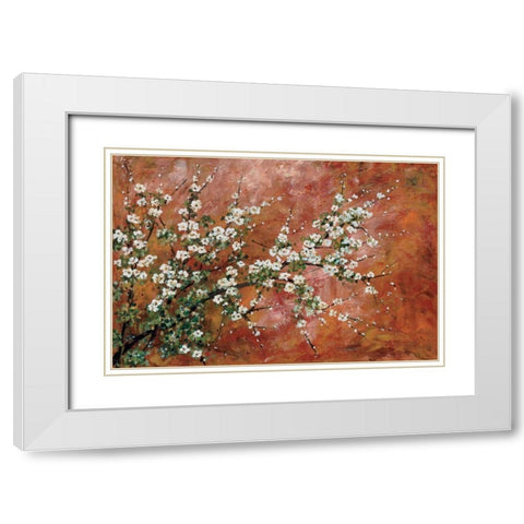 Wild Plum Blossoms White Modern Wood Framed Art Print with Double Matting by Alexander, Zachary