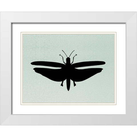 Wind Songs III White Modern Wood Framed Art Print with Double Matting by Ziffer, Josef