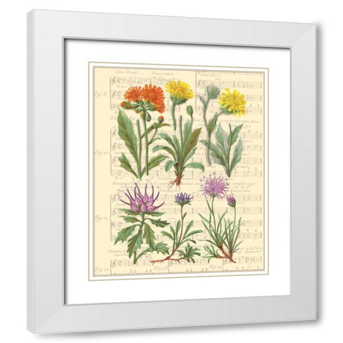 Allegro II White Modern Wood Framed Art Print with Double Matting by Paschal, Irene
