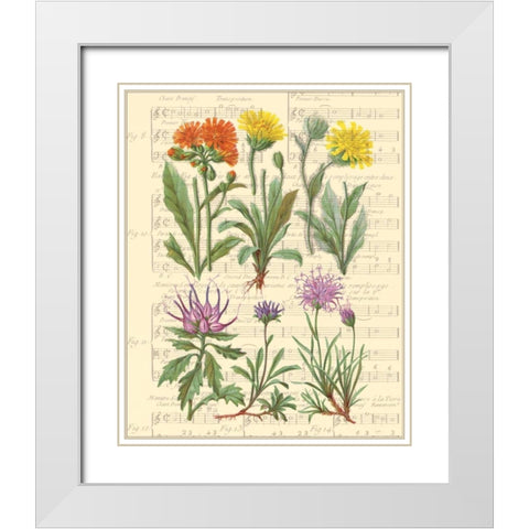 Allegro II White Modern Wood Framed Art Print with Double Matting by Paschal, Irene