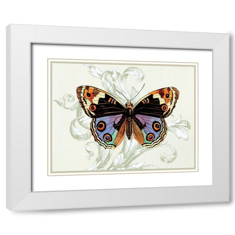 Butterfly Theme I White Modern Wood Framed Art Print with Double Matting by Davies, Susan