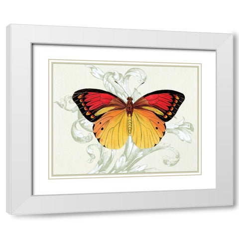 Butterfly Theme III White Modern Wood Framed Art Print with Double Matting by Davies, Susan
