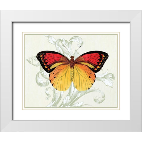 Butterfly Theme III White Modern Wood Framed Art Print with Double Matting by Davies, Susan