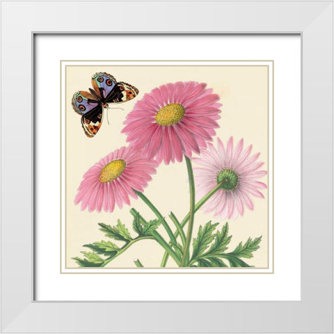 Country Cousins II White Modern Wood Framed Art Print with Double Matting by Alexander, Zachary