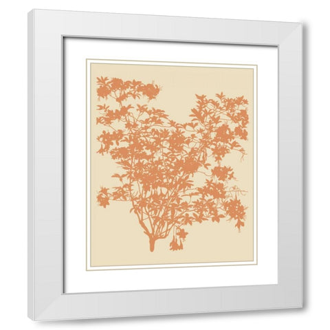 All American I White Modern Wood Framed Art Print with Double Matting by Davies, Susan