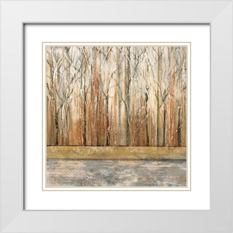 Telluride II White Modern Wood Framed Art Print with Double Matting by King, Michael