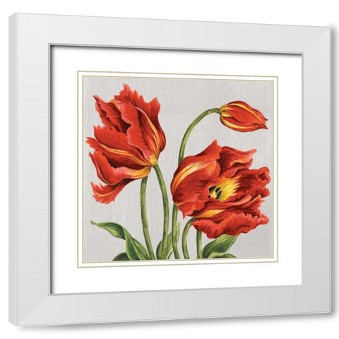 Tulips on Silk White Modern Wood Framed Art Print with Double Matting by Shelby, Judy