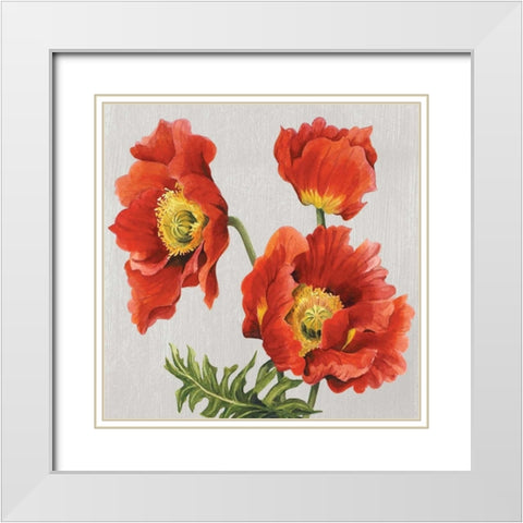 Poppies on Silk White Modern Wood Framed Art Print with Double Matting by Shelby, Judy