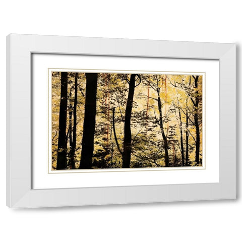 Golden Wood White Modern Wood Framed Art Print with Double Matting by Nicole, Lily