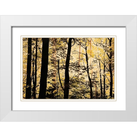 Golden Wood White Modern Wood Framed Art Print with Double Matting by Nicole, Lily