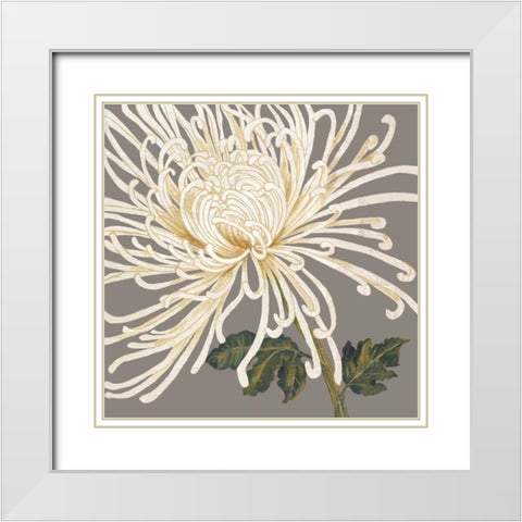 Glorious Whites II White Modern Wood Framed Art Print with Double Matting by Shelby, Judy