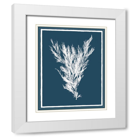 Indigo Seas II White Modern Wood Framed Art Print with Double Matting by Lawrence, David
