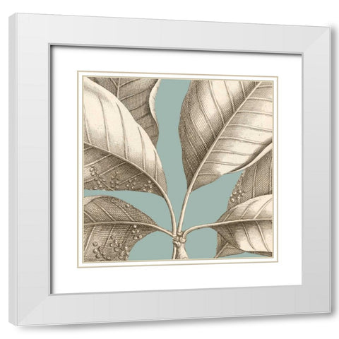 Tropical Varieties I White Modern Wood Framed Art Print with Double Matting by Lawrence, David