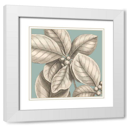 Tropical Varieties II White Modern Wood Framed Art Print with Double Matting by Lawrence, David
