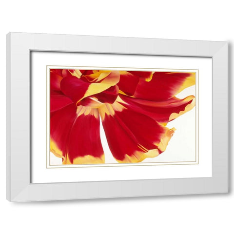 Floriade III White Modern Wood Framed Art Print with Double Matting by Poelstra-Holzhaus, Yvonne