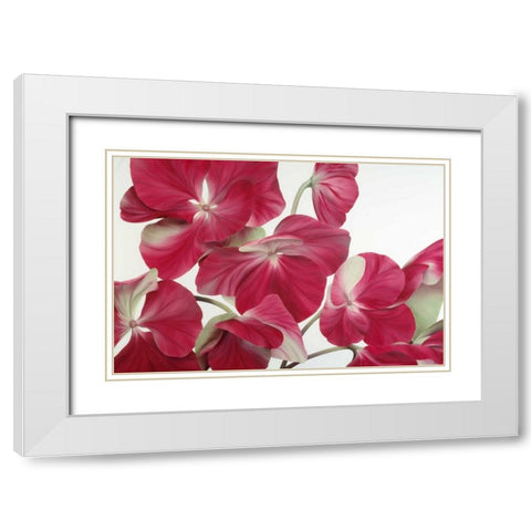 Floriade IV White Modern Wood Framed Art Print with Double Matting by Poelstra-Holzhaus, Yvonne