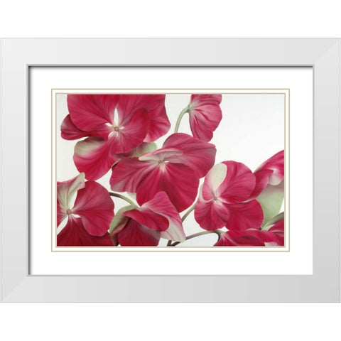 Floriade IV White Modern Wood Framed Art Print with Double Matting by Poelstra-Holzhaus, Yvonne