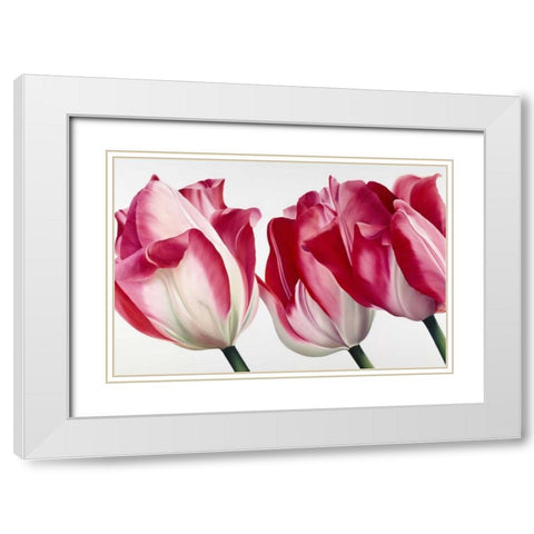 Floriade V White Modern Wood Framed Art Print with Double Matting by Poelstra-Holzhaus, Yvonne