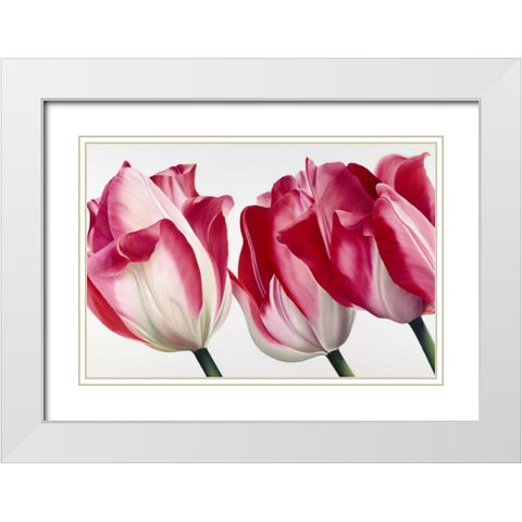 Floriade V White Modern Wood Framed Art Print with Double Matting by Poelstra-Holzhaus, Yvonne