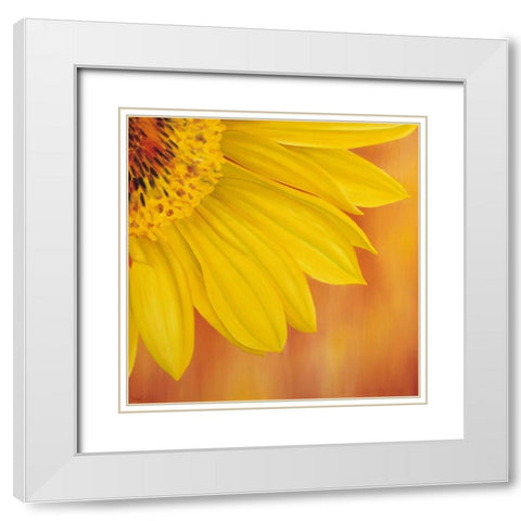 Sunflower II White Modern Wood Framed Art Print with Double Matting by Poelstra-Holzhaus, Yvonne