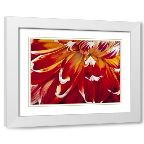 Redony White Modern Wood Framed Art Print with Double Matting by Poelstra-Holzhaus, Yvonne