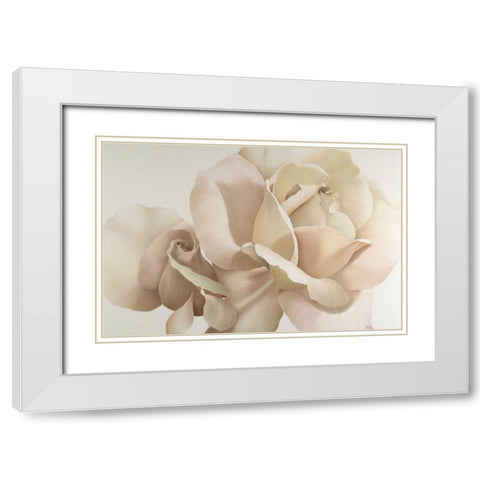 White Rose White Modern Wood Framed Art Print with Double Matting by Poelstra-Holzhaus, Yvonne