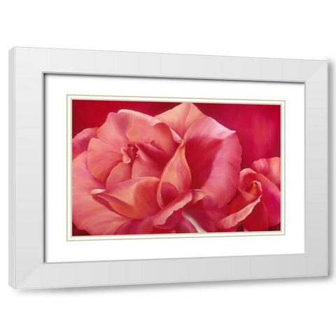 Pink Rose I White Modern Wood Framed Art Print with Double Matting by Poelstra-Holzhaus, Yvonne