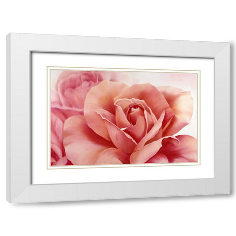 Pink Rose II White Modern Wood Framed Art Print with Double Matting by Poelstra-Holzhaus, Yvonne