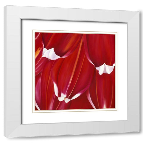 Most Beautiful Tulip II White Modern Wood Framed Art Print with Double Matting by Poelstra-Holzhaus, Yvonne