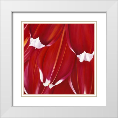 Most Beautiful Tulip II White Modern Wood Framed Art Print with Double Matting by Poelstra-Holzhaus, Yvonne