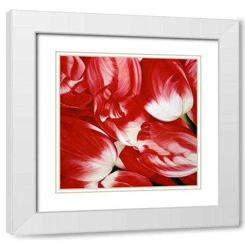 Most Beautiful Tulip III White Modern Wood Framed Art Print with Double Matting by Poelstra-Holzhaus, Yvonne