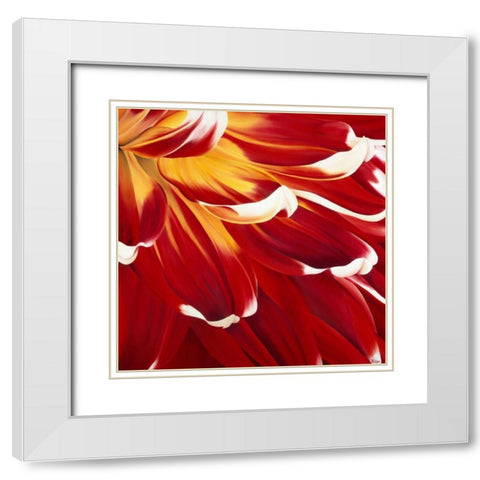 Colourful Floral I White Modern Wood Framed Art Print with Double Matting by Poelstra-Holzhaus, Yvonne