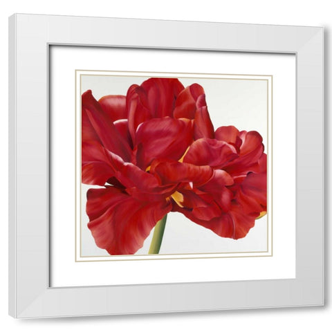 Colourful Floral II White Modern Wood Framed Art Print with Double Matting by Poelstra-Holzhaus, Yvonne
