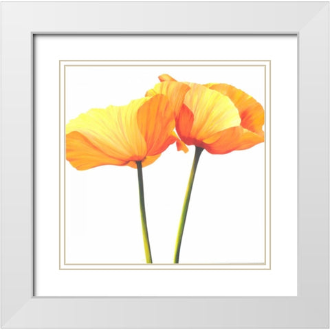 Yellow Poppy White Modern Wood Framed Art Print with Double Matting by Poelstra-Holzhaus, Yvonne
