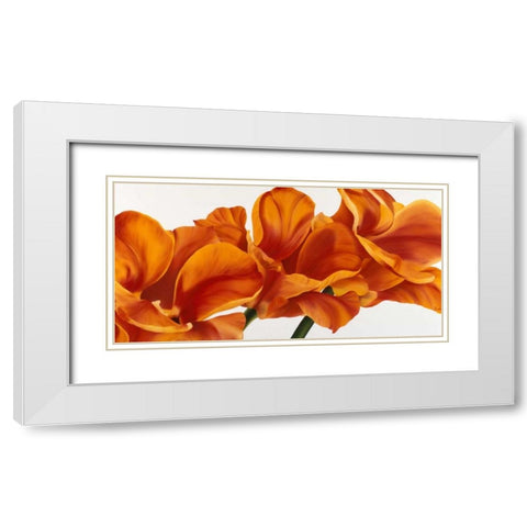 Fancy Flower II White Modern Wood Framed Art Print with Double Matting by Poelstra-Holzhaus, Yvonne
