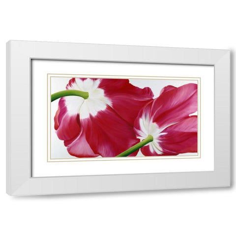 Tulipa White Modern Wood Framed Art Print with Double Matting by Poelstra-Holzhaus, Yvonne