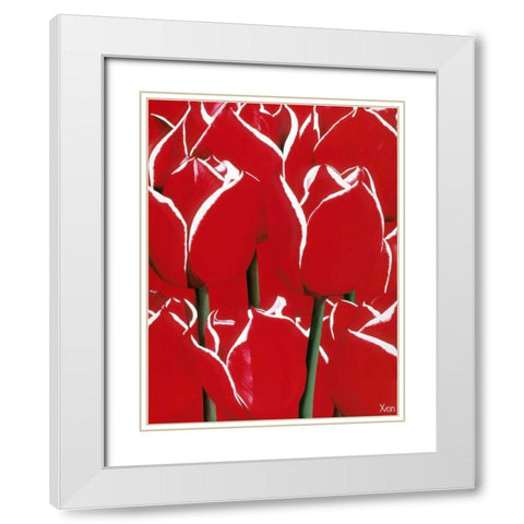 Red and White I White Modern Wood Framed Art Print with Double Matting by Poelstra-Holzhaus, Yvonne