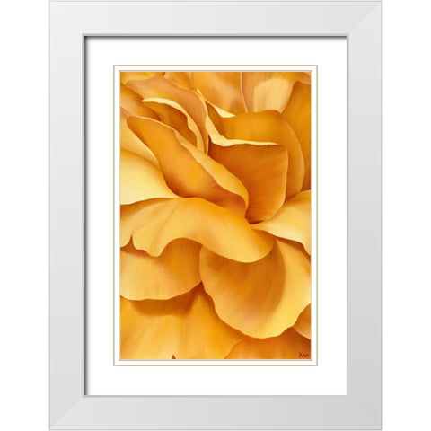 Magnificant Flower I White Modern Wood Framed Art Print with Double Matting by Poelstra-Holzhaus, Yvonne