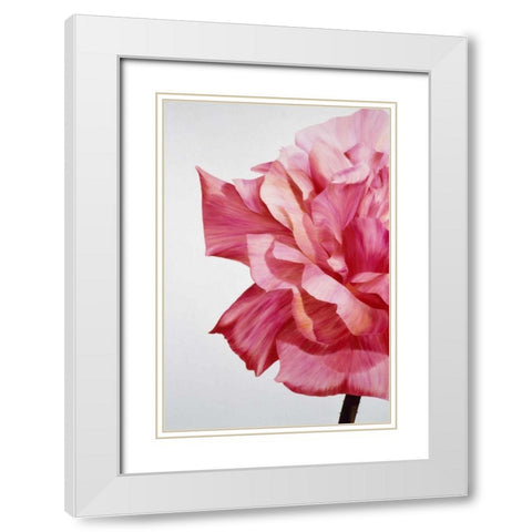 Pink Twin I White Modern Wood Framed Art Print with Double Matting by Poelstra-Holzhaus, Yvonne