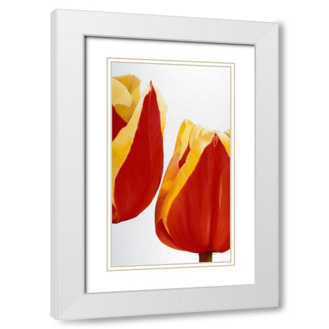Stay there! White Modern Wood Framed Art Print with Double Matting by Poelstra-Holzhaus, Yvonne