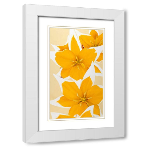 Yellow missy White Modern Wood Framed Art Print with Double Matting by Poelstra-Holzhaus, Yvonne