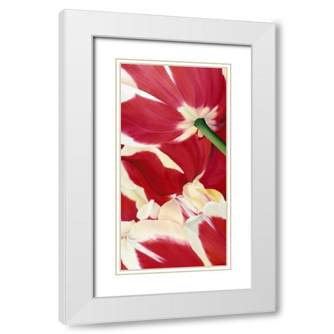 Flower dream White Modern Wood Framed Art Print with Double Matting by Poelstra-Holzhaus, Yvonne