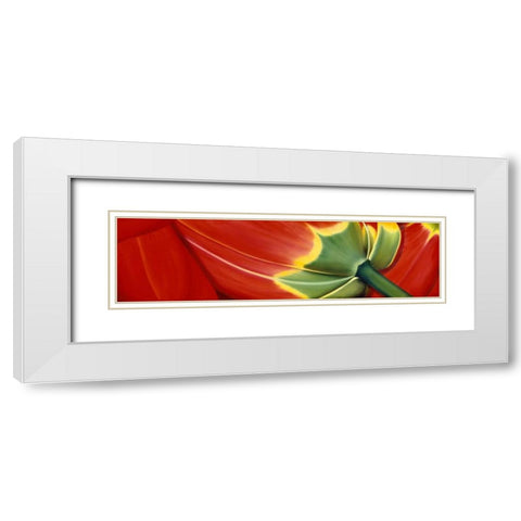 Sleeping well White Modern Wood Framed Art Print with Double Matting by Poelstra-Holzhaus, Yvonne