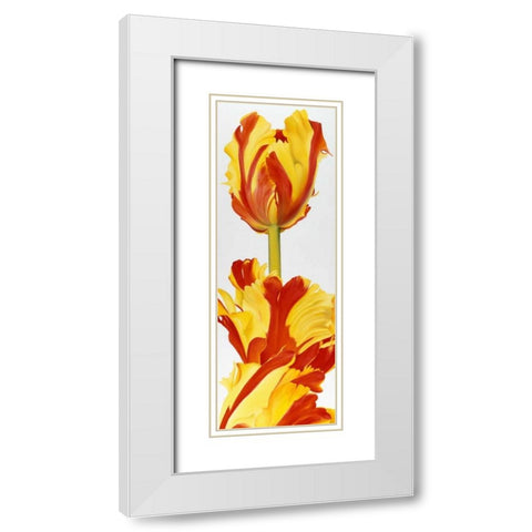 Taller then you! White Modern Wood Framed Art Print with Double Matting by Poelstra-Holzhaus, Yvonne